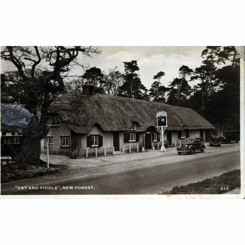 Real Photograph Postcard 'Cat and Fiddle, New Forest' 