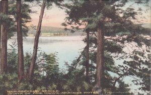 New Hampshire Namaschaug Series Vista Of Pine Grove Springs Hotel