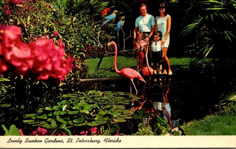 Florida St Petersburg Sunken Gardens Flamingos 1969