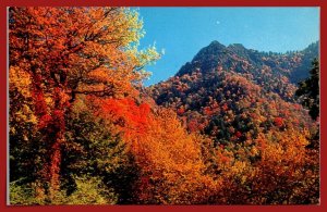 Tennessee - The Chimney Tops In Fall Colors - [TN-204]