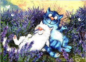 Lavender Field Resting White and Blue Cat a/s Rina Zeniuk House of Postcards