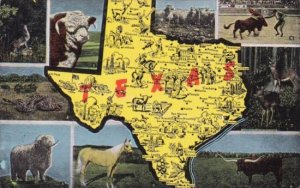 Map Of Texas With Multi Views