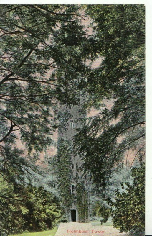 Sussex Postcard - Holmbush Tower - Ref 14451A 