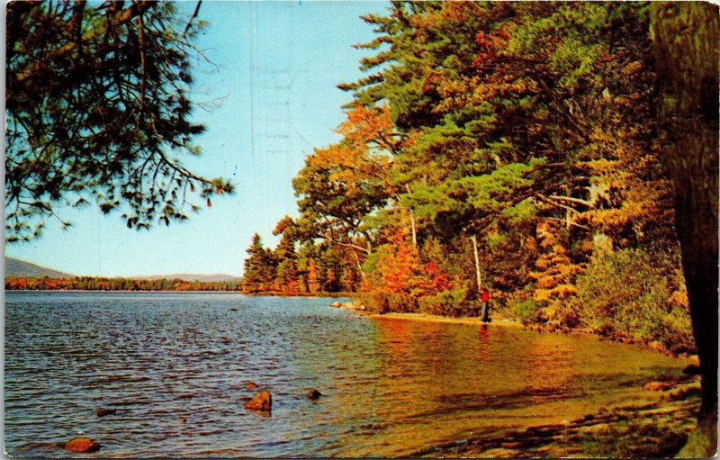 Greetings From Sandy Pond New York NY Postcard PM Sandy Creek NY Cancel WOB Note 