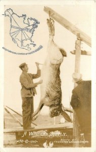 Postcard RPPC Kansas Garden City 1930s Conard giant rabbit exaggeration KS2-2239