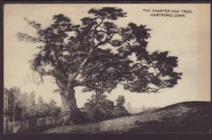 The Charter Oak Tree,Hartford,CT Postcard