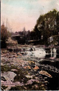 Postcard Ontario Guelph View on Speed Goldies Creek Warwick Bros. 1908 K83