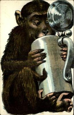 GERMAN COMIC Monkey w Beer Stein Drinking c1910 Postcard