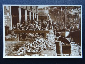 Cornwall LOOE The Fish Quay - Animated Scene - Old RP Postcard by Photomatic Ltd