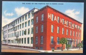 Mint USA Color Picture Postcard Home Of The Famous Hava Tampa Cigars