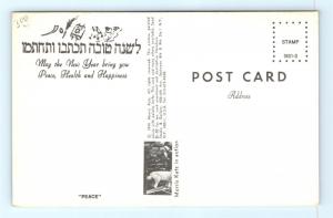 Postcard Artist Signed Morris Katz Peace Jewish New Year Judaica G18