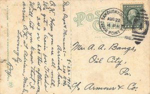 LPS54 SANDUSKY Ohio Cedar Point Aerial View  Postcard