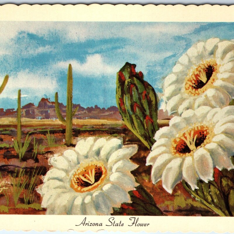 1967 AZ Arizona Flower Saguaro Cactus Blossom Desert Ken Haag Painting Art A334