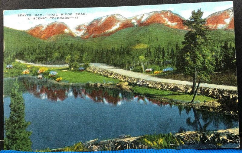 Beaver Dam Trail Rocky Mountain National Park 1954 Vintage Postcard