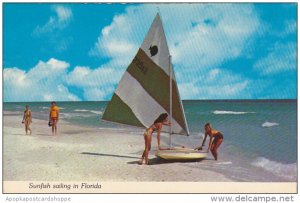 Sunfish Sailing In Florida