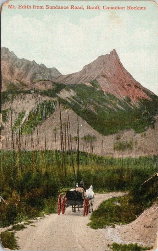 Banff Alberta AB Mt. Edith from Sundance Road Horse Wagon Postcard H15 *as is