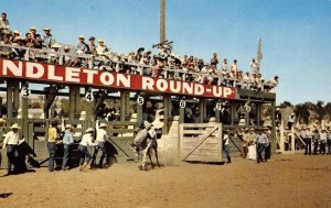 Pendleton Roundup, Oregon Cowboys Rodeo Horses 1950s Vintage Postcard