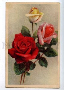 202274 ROSES Bouquet Flowers Vintage postcard