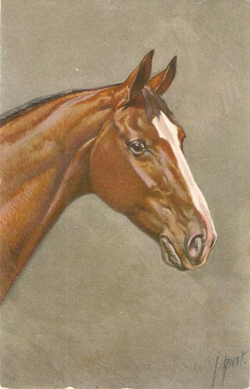 Horse Nice antique Swiss postcard. Artist signed