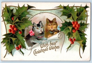 Christmas Postcard Cat Kittens And Holly Berries Embossed Plainfield NJ 1909