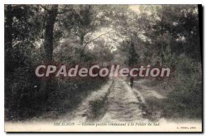 Old Postcard Arcachon Path Leading straw La Pointe South
