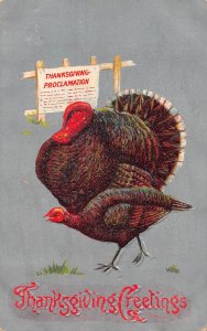 Thanksgiving Greeting 1909 Turkey Poultry Proclamation embossed postcard B989