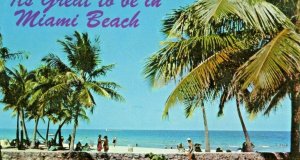 Postcard  View of Tropical Lummus Park and Beach in Miami Beach, FL.   S3