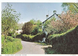 Devon Postcard - Bickleigh Village Street. Ref.LSL76