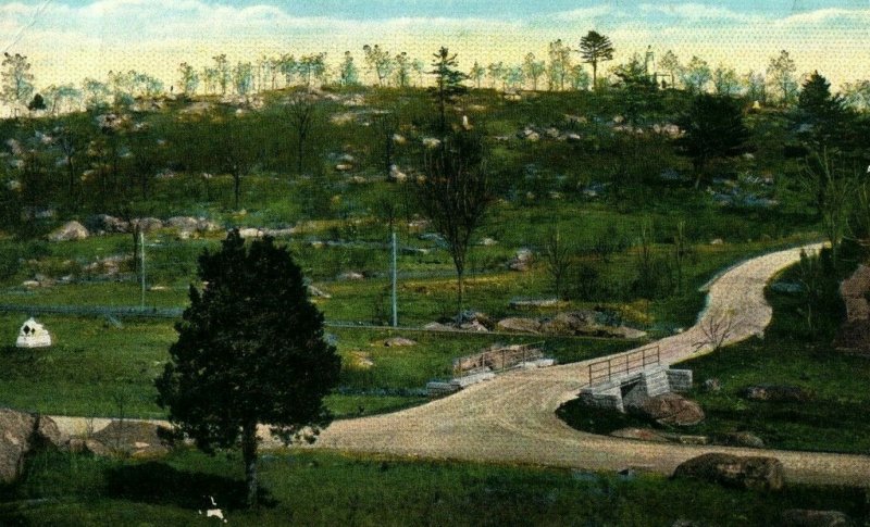 c. 1910 Civil War Little Round Top Gettysburg Valley Of Death Postcard P15 