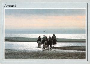 BT4672 Ameland horses chevaux Netherlands