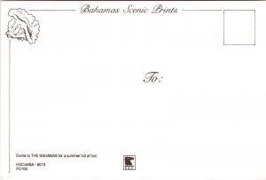 Woman in Bikini Sunbathing Bahamas POSTCARD