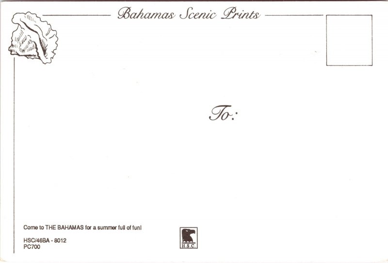 Woman in Bikini Sunbathing Bahamas POSTCARD