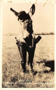 RPPC Jack Ass Great American Desert Donkey Dressed In Hat ca 1940s Postcard