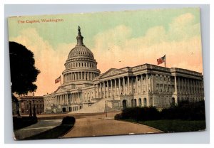 Vintage 1910s Postcard The Capitol White House, Washington, District of Columbia