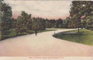 New York Rochester View In Genesee Valley Park 1908