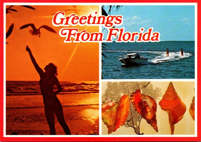 Florida Greetings With Girl Feeding Sea Gulls Water Skiers & Sea Shells