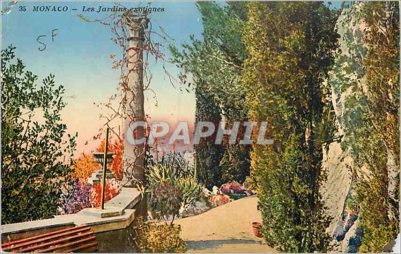 Old Postcard Monaco Exotic Gardens