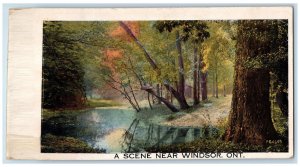 c1910 River and Greenery Scene Near Windsor Ontario Canada Unposted Postcard 