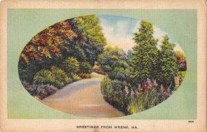 Wrens Georgia Greetings Road Scenic Vintage Postcard JF685715