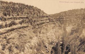 Flagstaff Arizona Walnut Canyon Real Photo Antique Postcard K60048