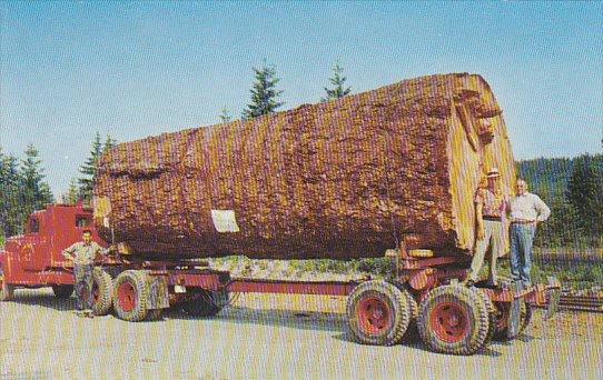 Giant Foir Log On Back Of Truck In Oregon