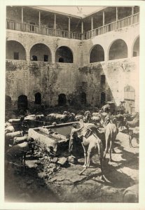 Palestina Israel Market RPPC BS.03