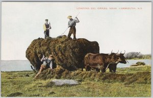 Vintage Loading Eel Grass Near Yarmouth NS Unused Postcard H80