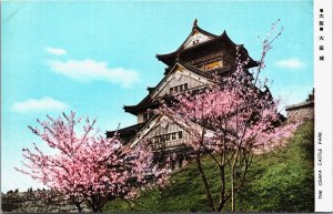 Japan The Osaka Castle Park Vintage Postcard C156