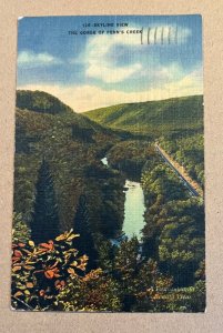 VINTAGE LINEN POSTCARD 1953 USED - SKYLINE VIEW - GORGE OF PENN'S CREEK, PA.