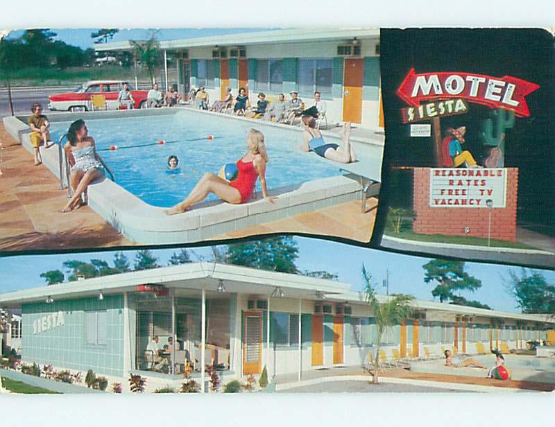 1969 risque - BATHING SUIT GIRLS AT SIESTA MOTEL St. Petersburg Florida FL M1359