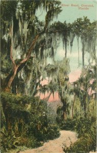 Ormond Florida C-1910 Postcard River #126336 Road Morris 21-13236