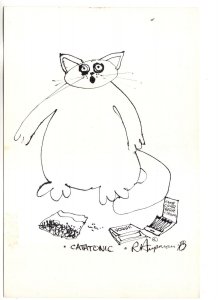 Hupman Artist, Stoned Cat, Catatonic, 1978,  Marijuana Papers Matches, Humour