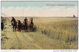 Canada Saskatchewan Harvesting Scene 1910