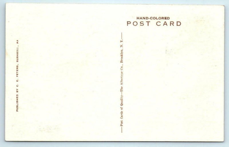 BUSHKILL FALLS, Pennsylvania PA ~ Handcolored LAUREL GLEN Poconos  Postcard